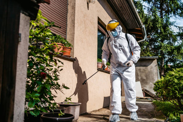 Best Flea Control Services  in Und City, MO