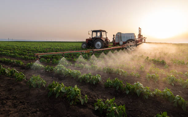 Best Pest Prevention Services  in Und City, MO