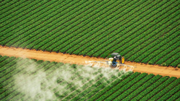 Best Termite Control Services  in Und City, MO