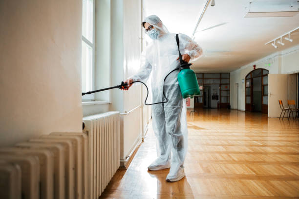 Flea Control Services in Mound City, MO