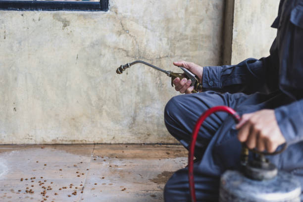 Best Exterminator Services  in Und City, MO